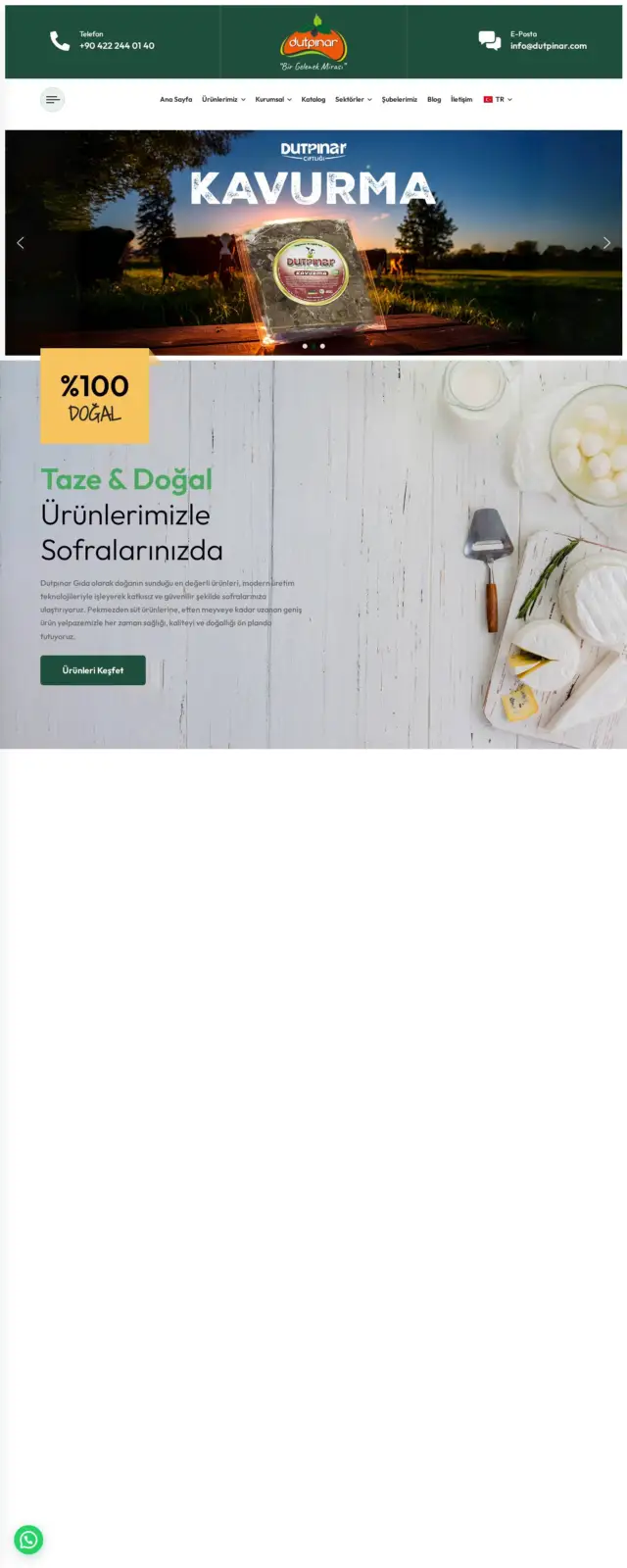 Dutpınar web sitesi ekran görüntüsü